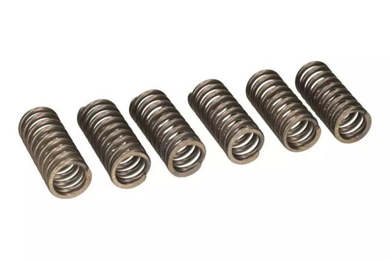 VOC CLUTCH SPRING SET